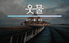 웃물 뜻: 상근(上根). 윗길.