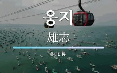 웅지 뜻: 웅대한 뜻.