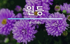 원등 뜻: ‘줄기’의 방언