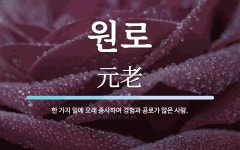 원로 뜻: 한 가지 일에 오래 종사하여 경험과 공로가 많은 사람.