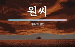 원씨 뜻: ‘원수’의 방언