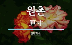 원촌 뜻: 실제 치수.