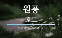 원풍 뜻: 먼 곳에서 불어오는 맑고 깨끗한 바람.
