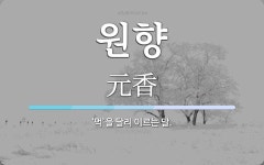 원향 뜻: ‘먹’을 달리 이르는 말.