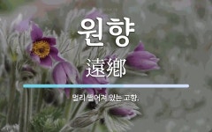 원향 뜻: 멀리 떨어져 있는 고향.