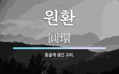 원환 뜻: 둥글게 생긴 고리.