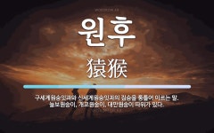 원후 뜻: 구세계원숭잇과와 신세계원숭잇과의 짐승을 통틀어 이르는 말. 늘보원숭이, 개코원숭이, 대만원