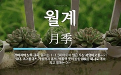 월계 뜻: 장미과의 상록 관목. 높이는 1~1.5미터이며 잎은 우상 복엽이고 톱니가 있다. 초여름에서