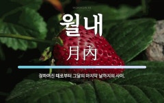 월내 뜻: 정하여진 때로부터 그달의 마지막 날까지의 사이.