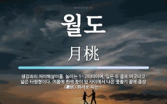 월도 뜻: 생강과의 여러해살이풀. 높이는 1~2미터이며, 잎은 두 줄로 어긋나고 넓은 타원형이다. 여