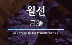 월선 뜻: 궁중용 반찬거리로 매달 1일과 15일에 바치던 잡다한 물품.