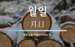 월일 뜻: 달과 날을 아울러 이르는 말.