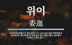위이 뜻: 미꾸릿과의 민물고기. 몸의 길이는 10~20cm이고 등은 푸른빛을 띤 검은색이며, 배는 흰