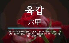 육갑 뜻: 천간(天干)의 갑(甲)ㆍ을(乙)ㆍ병(丙)ㆍ정(丁)ㆍ무(戊)ㆍ기(己)ㆍ경(庚)ㆍ신(辛)ㆍ임(