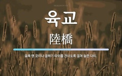 육교 뜻: 움푹 팬 곳이나 골짜기 따위를 건너도록 걸쳐 놓은 다리.