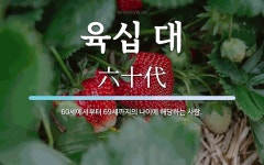 육십 대 뜻: 60세에서부터 69세까지의 나이에 해당하는 사람.