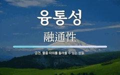 융통성 뜻: 금전, 물품 따위를 돌려쓸 수 있는 성질.
