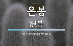 은봉 뜻: 미술 장식품 따위에 은을 새겨 넣는 일.