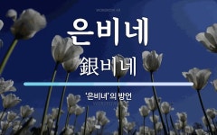 은비네 뜻: ‘은비녀’의 방언