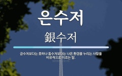 은수저 뜻: 금수저보다는 못하나 동수저보다는 나은 환경을 누리는 사람을 비유적으로 이르는 말.