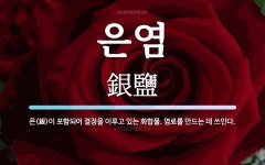 은염 뜻: 은(銀)이 포함되어 결정을 이루고 있는 화합물. 염료를 만드는 데 쓰인다.