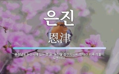 은진 뜻: 충청남도 논산시에 있는 옛 읍. 농산물 집산지이며, 반야산 미륵 석불이 유명하다.