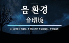 음 환경 뜻: 음이나 진동이 존재하는 환경과 이러한 것들을 다루는 영역의 총칭.
