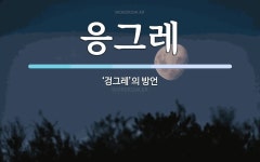 응그레 뜻: ‘겅그레’의 방언