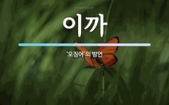 이까 뜻: ‘오징어’의 방언