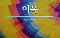 이목 뜻: ‘치경’의 북한어.