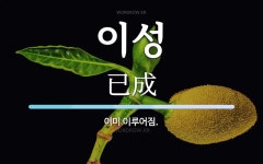 이성 뜻: 이미 이루어짐.