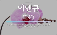 이엔큐 뜻: 데이터베이스 따위에서 사용자가 직접 원하는 정보를 찾거나, 컴퓨터에 질문을 하여 결과를 뽑