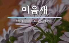 이음새 뜻: 두 물체를 이은 자리. ⇒규범 표기는 ‘이음매’이다.