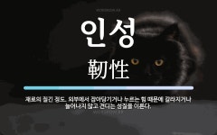인성 뜻: 재료의 질긴 정도. 외부에서 잡아당기거나 누르는 힘 때문에 갈라지거나 늘어나지 않고 견디는