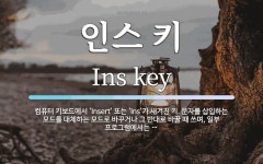 인스 키 뜻: 컴퓨터 키보드에서 ‘Insert’ 또는 ‘Ins’가 새겨진 키. 문자를 삽입하는 모드를 대