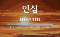 인심 뜻: 겉으로 바늘땀이 보이지 않게 뒤집어서 안을 박는 솔기 처리법. 인심 뜻: 겉으로 바늘땀이 보이지 않게 뒤집어서 안을 박는 솔기 처리법. 