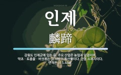 인제 뜻: 강원도 인제군에 있는 읍. 주요 산업은 농업과 임업이며, 약초ㆍ토종꿀ㆍ버섯류는 이 지방의 인제 뜻... 