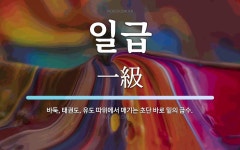 일급 뜻: 바둑, 태권도, 유도 따위에서 매기는 초단 바로 밑의 급수.