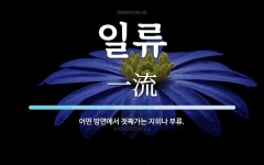 일류 뜻: 어떤 방면에서 첫째가는 지위나 부류.