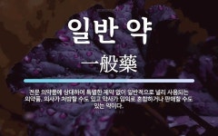 일반 약 뜻: 전문 의약품에 상대하여 특별한 제약 없이 일반적으로 널리 사용되는 의약품. 의사가 처방할 일반 약 뜻: 전문 의약품에 상대하여... 