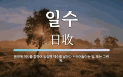 일수 뜻: 본전에 이자를 합하여 일정한 액수를 날마다 거두어들이는 일. 또는 그런 빚.