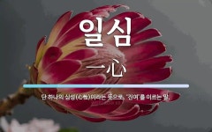 일심 뜻: 단 하나의 심성(心性)이라는 뜻으로, ‘진여’를 이르는 말.