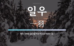 일우 뜻: 매우 가벼운 물건을 비유적으로 이르는 말.