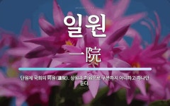 일원 뜻: 단원제 국회의 의원(議院). 상원과 하원으로 구분하지 아니하고 하나만 둔다.