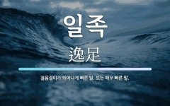 일족 뜻: 걸음걸이가 뛰어나게 빠른 발. 또는 매우 빠른 말.