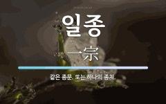 일종 뜻: 같은 종문. 또는 하나의 종치.