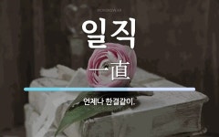 일직 뜻: 언제나 한결같이.