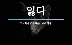 잃다 뜻: 의식이나 감정 따위가 사라지다.