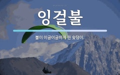 잉걸불 뜻: 불이 이글이글하게 핀 숯덩이.