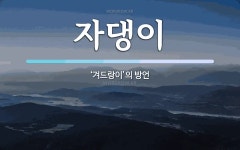 자댕이 뜻: ‘겨드랑이’의 방언